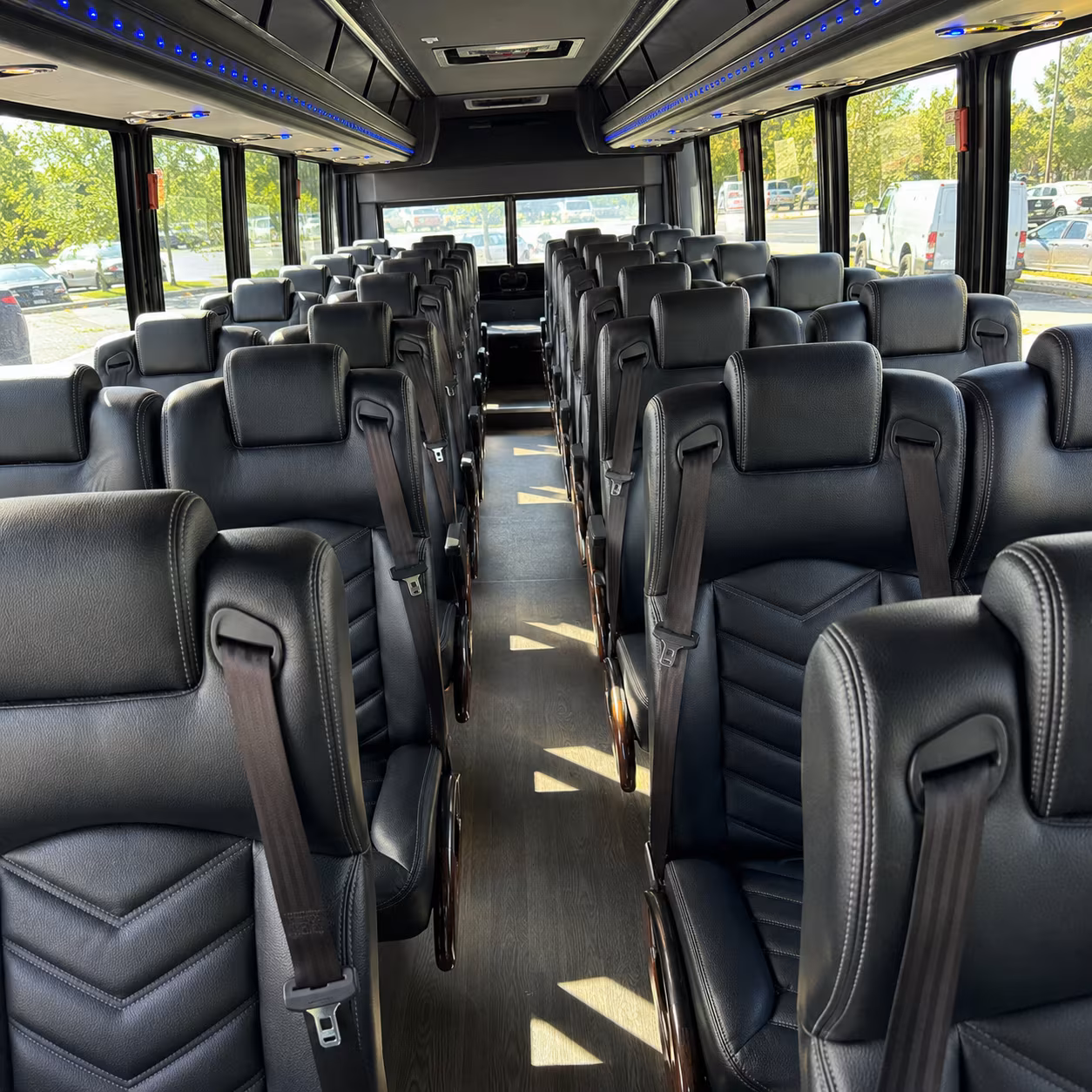 midland birthday party transportation onboard seating